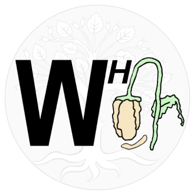 Testseite c-w.biz