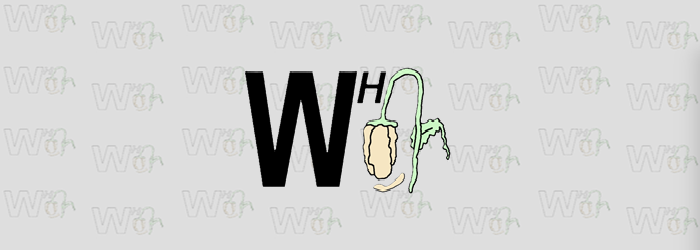 Test Template ohne Inhalt